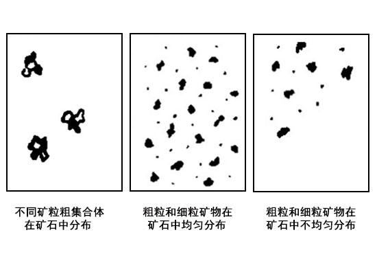 礦石嵌布粒度分布情況