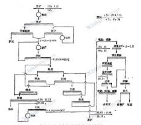 龍水嶺金礦選礦工藝流程